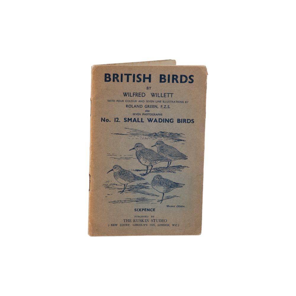 洋書 BRITISH BIRDS No.12