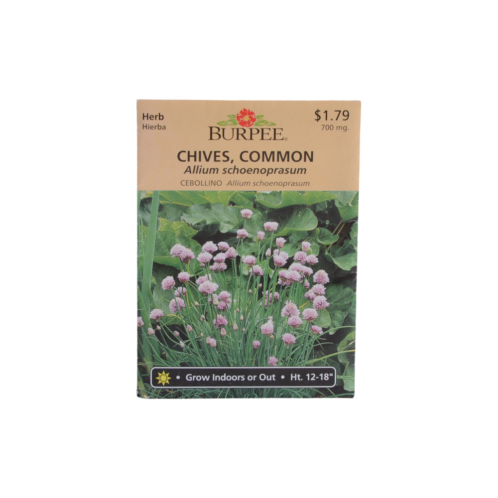 種 BURPEE CHIVES，COMMON